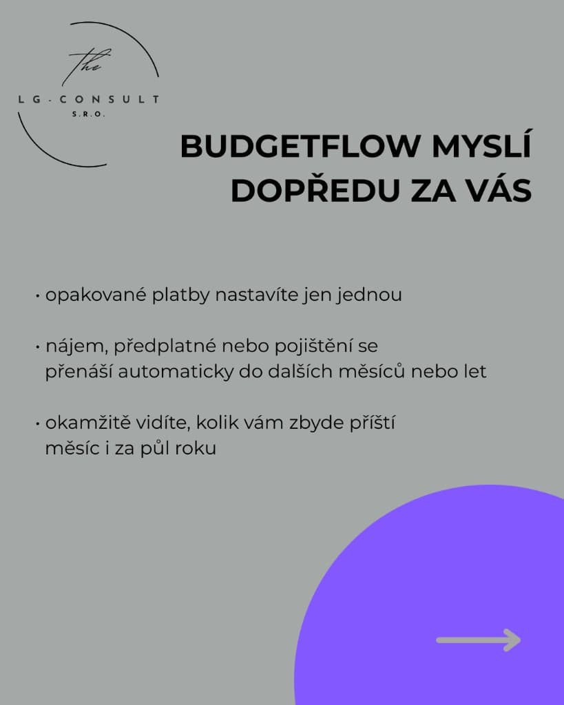 BudgetFlow, slide 3/6