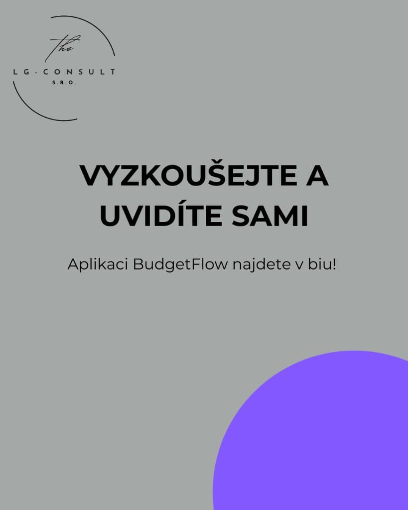 BudgetFlow, slide 6/6